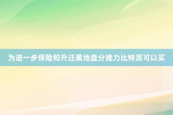 为进一步保险和升迁黑地盘分娩力比特派可以买