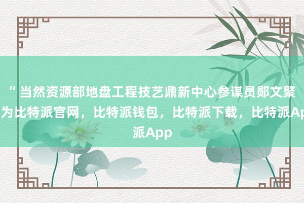 ”当然资源部地盘工程技艺鼎新中心参谋员郧文聚以为比特派官网，比特派钱包，比特派下载，比特派App