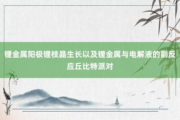 锂金属阳极锂枝晶生长以及锂金属与电解液的副反应丘比特派对