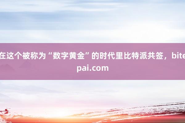 在这个被称为“数字黄金”的时代里比特派共签，bitepai.com