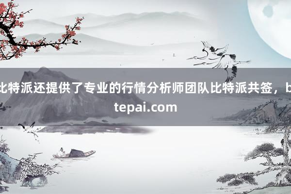 比特派还提供了专业的行情分析师团队比特派共签，bitepai.com