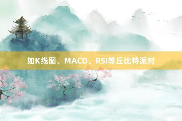 如K线图、MACD、RSI等丘比特派对