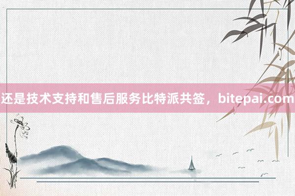 还是技术支持和售后服务比特派共签，bitepai.com