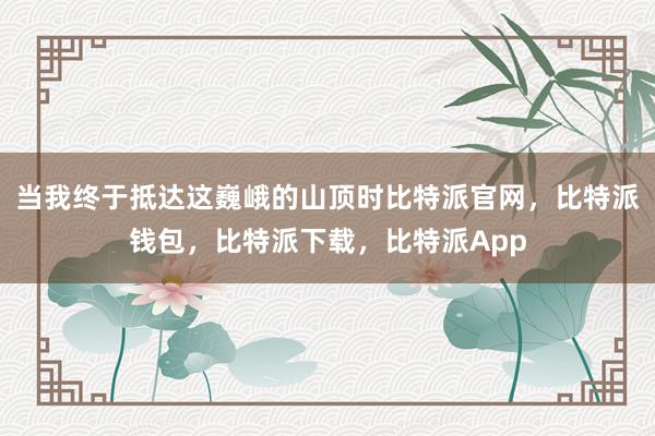 当我终于抵达这巍峨的山顶时比特派官网，比特派钱包，比特派下载，比特派App