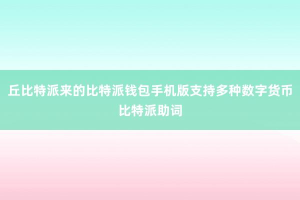 丘比特派来的比特派钱包手机版支持多种数字货币比特派助词