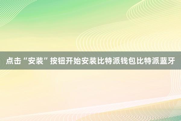 点击“安装”按钮开始安装比特派钱包比特派蓝牙