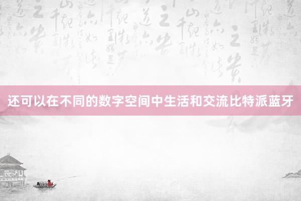 还可以在不同的数字空间中生活和交流比特派蓝牙