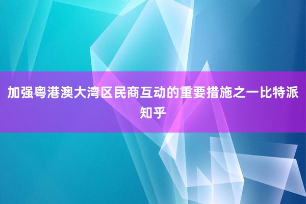 加强粤港澳大湾区民商互动的重要措施之一比特派知乎