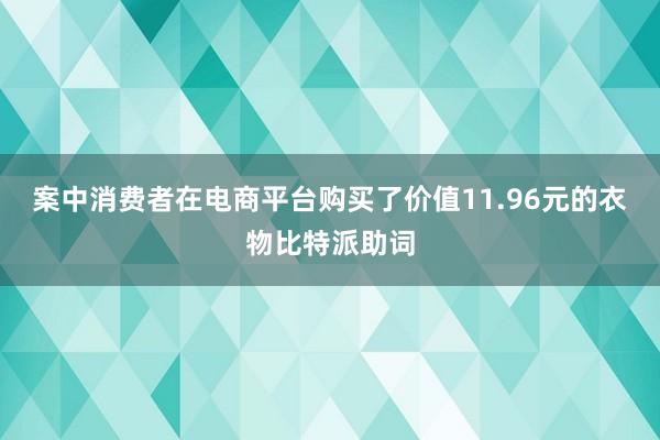 案中消费者在电商平台购买了价值11.96元的衣物比特派助词