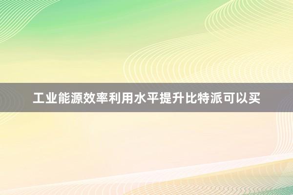 工业能源效率利用水平提升比特派可以买