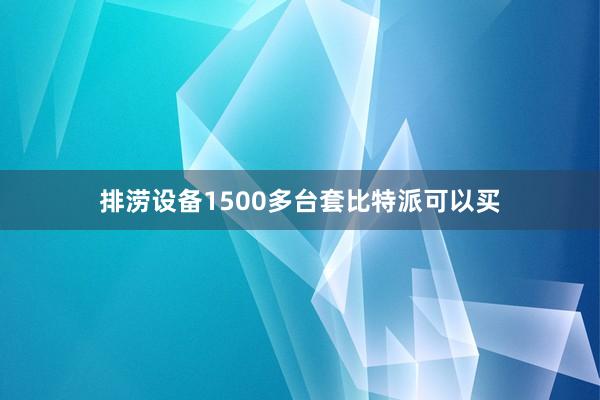 排涝设备1500多台套比特派可以买