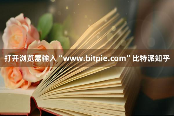 打开浏览器输入“www.bitpie.com”比特派知乎