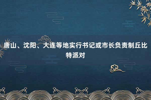 唐山、沈阳、大连等地实行书记或市长负责制丘比特派对