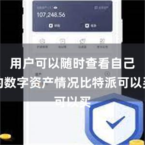 用户可以随时查看自己的数字资产情况比特派可以买