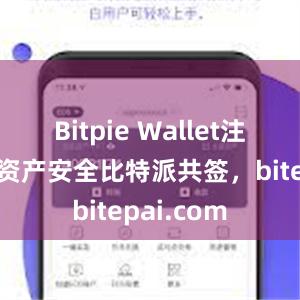 Bitpie Wallet注重用户的资产安全比特派共签，bitepai.com