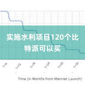 实施水利项目120个比特派可以买