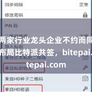 两家行业龙头企业不约而同加码布局比特派共签，bitepai.com